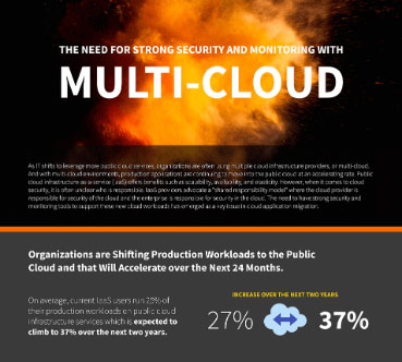 Multicloud infographic sample