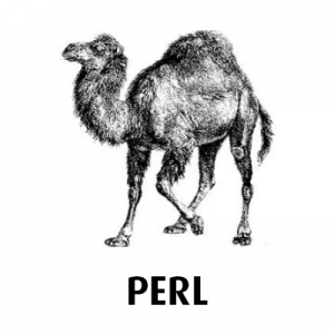 PERL icon