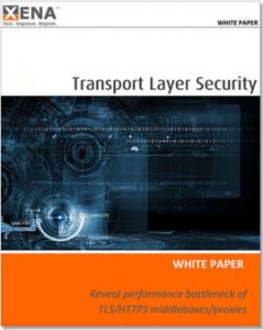 Transport Layer Security white paper cover