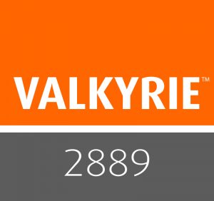 Valkyrie 2889 logo
